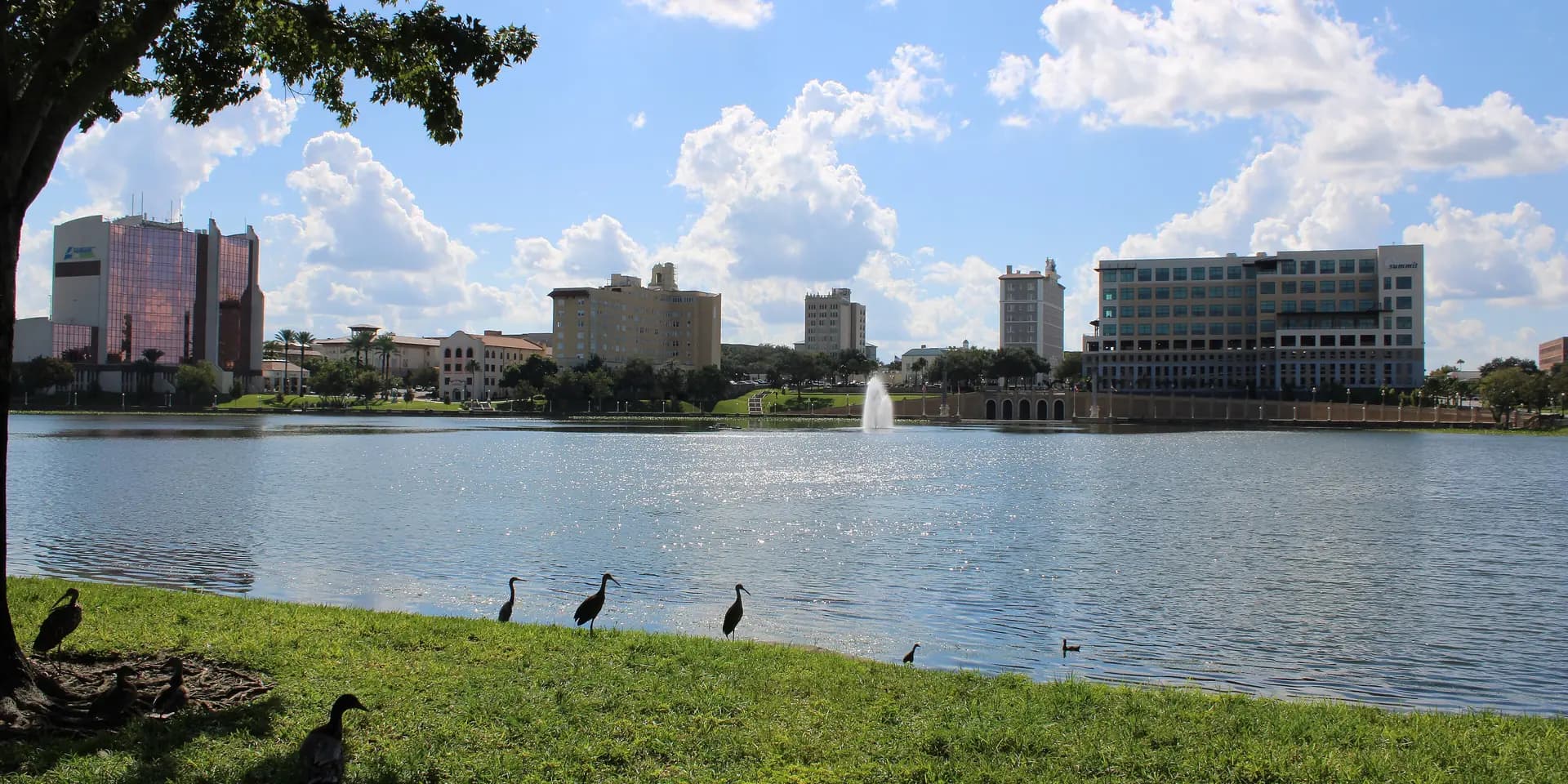 Lake Mirror in downtown Lakeland on a sunny day, a fountain in the lake and the downtown skyline beyond, birds on the grassy bank